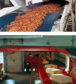 Flat Conveying System